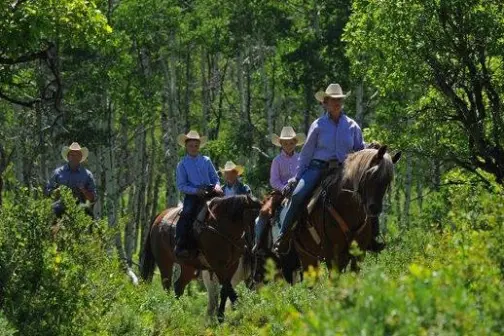 2 Hour Summer Trail Ride - Del's Triangle 3 Ranch