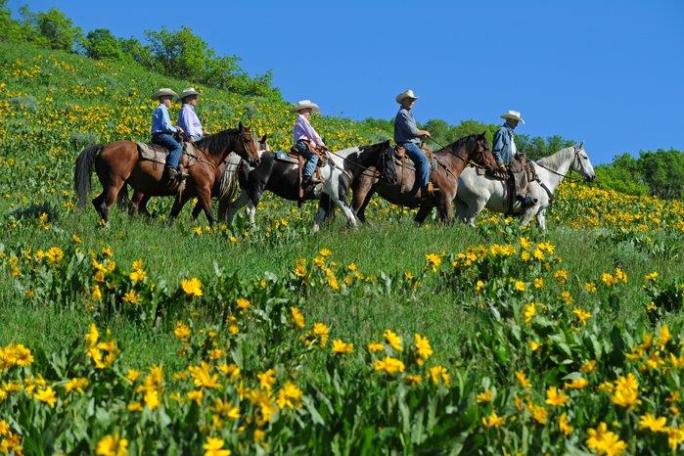1 Hour Summer Trail Ride - Del's Triangle 3 Ranch