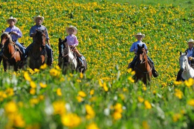 1 Hour Summer Trail Ride - Del's Triangle 3 Ranch