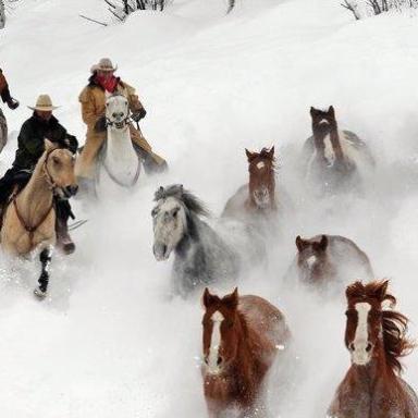 Del's Triangle 3 Ranch