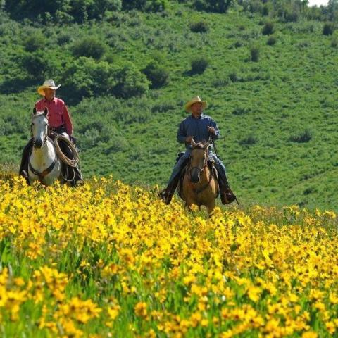 Del's Triangle 3 Ranch