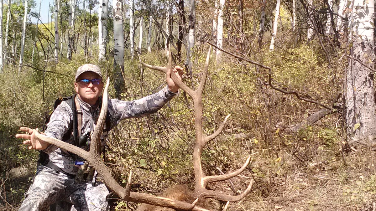 Guided rifle camp bull - 2013