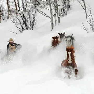 Del’s Triangle 3 Ranch