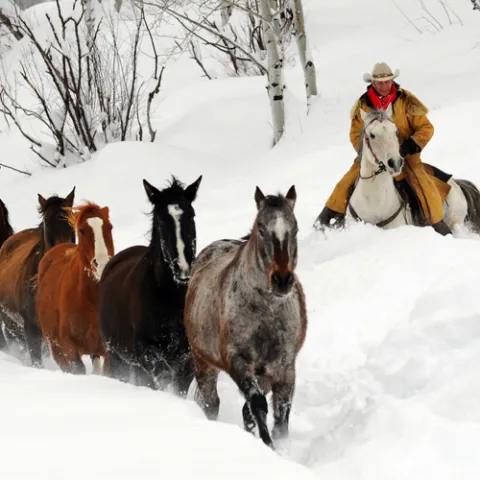 Del’s Triangle 3 Ranch