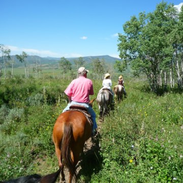 Del’s Triangle 3 Ranch