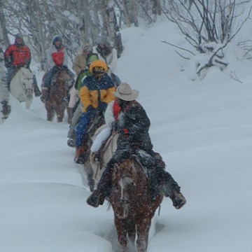 Del’s Triangle 3 Ranch