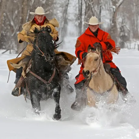 Del’s Triangle 3 Ranch